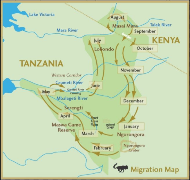 Serengeti National Park | Wildebeest Migration | Serengeti Safari